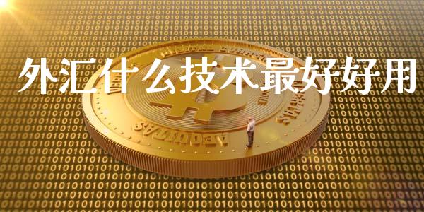 外汇什么技术最好好用_https://m.jnbaishite.cn_投资管理_第1张