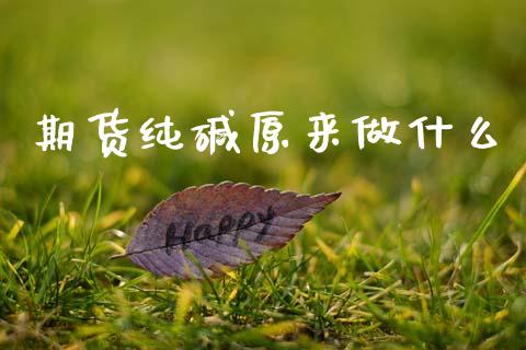 期货纯碱原来做什么_https://m.jnbaishite.cn_金融市场_第1张