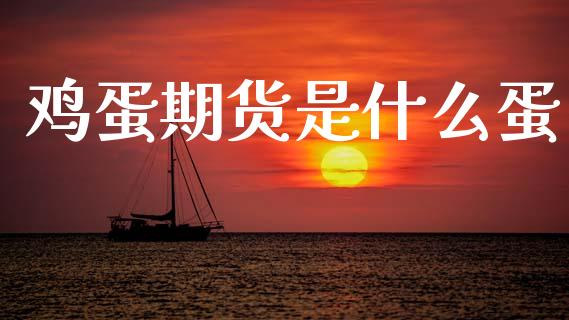 鸡蛋期货是什么蛋_https://m.jnbaishite.cn_期货研报_第1张