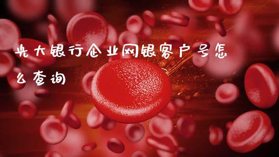 光大银行企业网银客户号怎么查询_https://m.jnbaishite.cn_期货研报_第1张