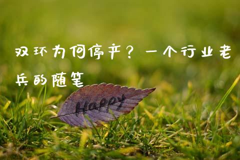 双环为何停产？一个行业老兵的随笔_https://m.jnbaishite.cn_金融市场_第1张