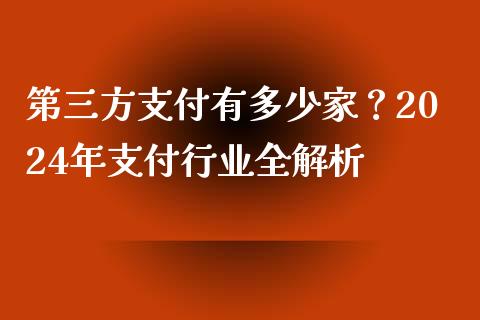 第三方支付有多少家？2024年支付行业全解析_https://m.jnbaishite.cn_金融市场_第1张