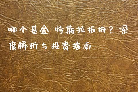 哪个基金 特斯拉板块？深度解析与投资指南_https://m.jnbaishite.cn_金融市场_第1张