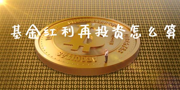 基金红利再投资怎么算_https://m.jnbaishite.cn_投资管理_第1张