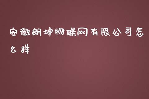 安徽朗坤物联网有限公司怎么样_https://m.jnbaishite.cn_金融市场_第1张