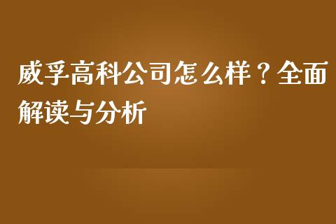 威孚高科公司怎么样？全面解读与分析_https://m.jnbaishite.cn_投资管理_第1张