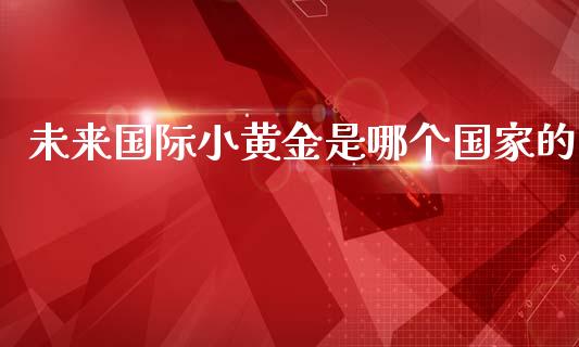 未来国际小黄金是哪个国家的_https://m.jnbaishite.cn_投资管理_第1张