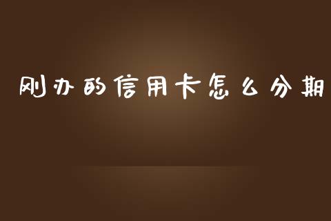 刚办的信用卡怎么分期_https://m.jnbaishite.cn_金融市场_第1张