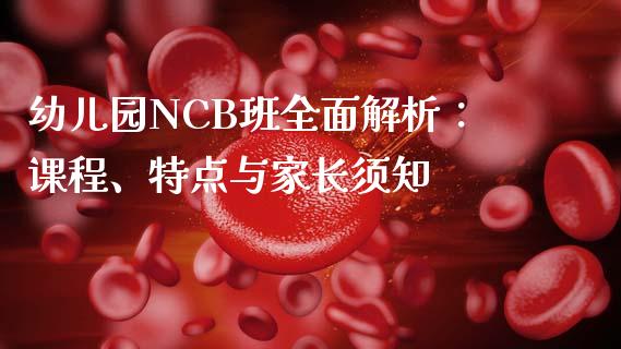 幼儿园NCB班全面解析：课程、特点与家长须知_https://m.jnbaishite.cn_金融市场_第1张