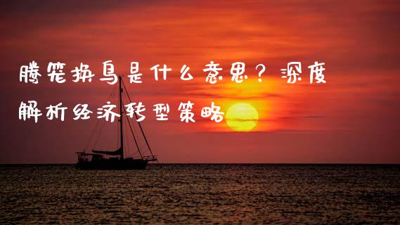 腾笼换鸟是什么意思？深度解析经济转型策略_https://m.jnbaishite.cn_财经新闻_第1张