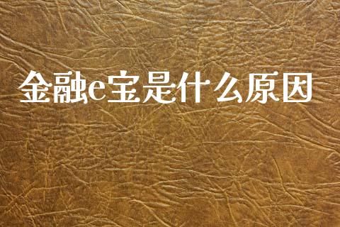 金融e宝是什么原因_https://m.jnbaishite.cn_投资管理_第1张