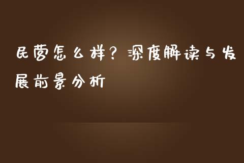 民营怎么样？深度解读与发展前景分析_https://m.jnbaishite.cn_金融市场_第1张