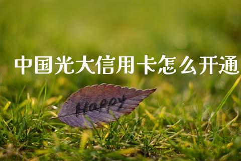 中国光大信用卡怎么开通_https://m.jnbaishite.cn_财经新闻_第1张