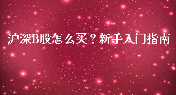 沪深B股怎么买？新手入门指南_https://m.jnbaishite.cn_投资管理_第1张