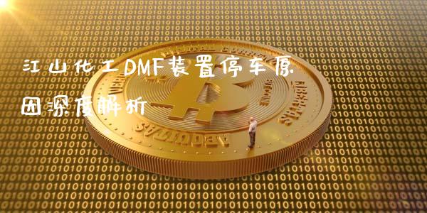 江山化工DMF装置停车原因深度解析_https://m.jnbaishite.cn_投资管理_第1张