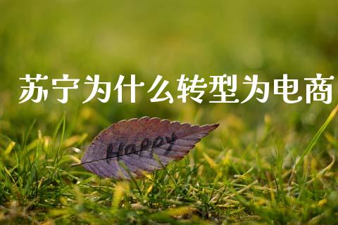苏宁为什么转型为电商_https://m.jnbaishite.cn_金融市场_第1张