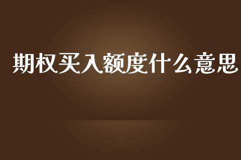 期权买入额度什么意思_https://m.jnbaishite.cn_金融市场_第1张