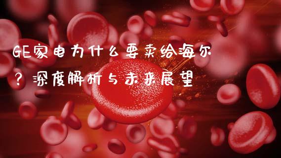 GE家电为什么要卖给海尔？深度解析与未来展望_https://m.jnbaishite.cn_投资管理_第1张