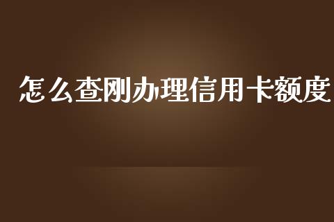 怎么查刚办理信用卡额度_https://m.jnbaishite.cn_金融市场_第1张