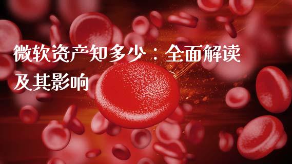 微软资产知多少：全面解读及其影响_https://m.jnbaishite.cn_投资管理_第1张